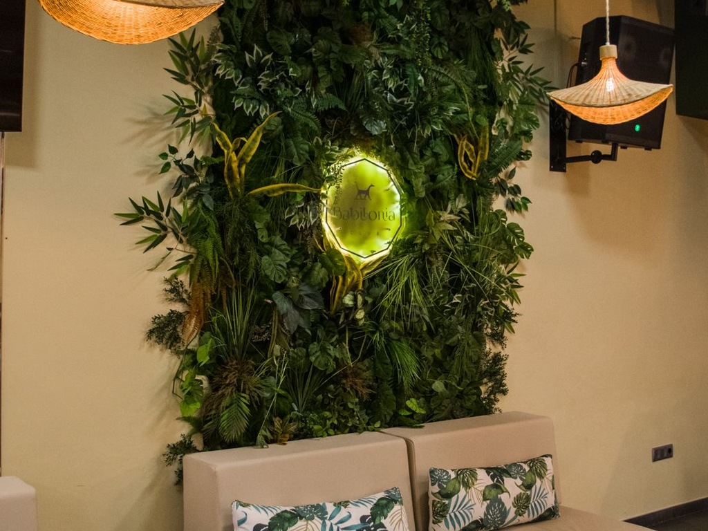 Foto establecimiento 4