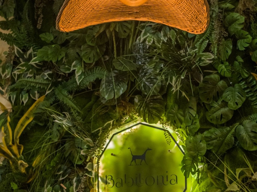 Foto establecimiento 3