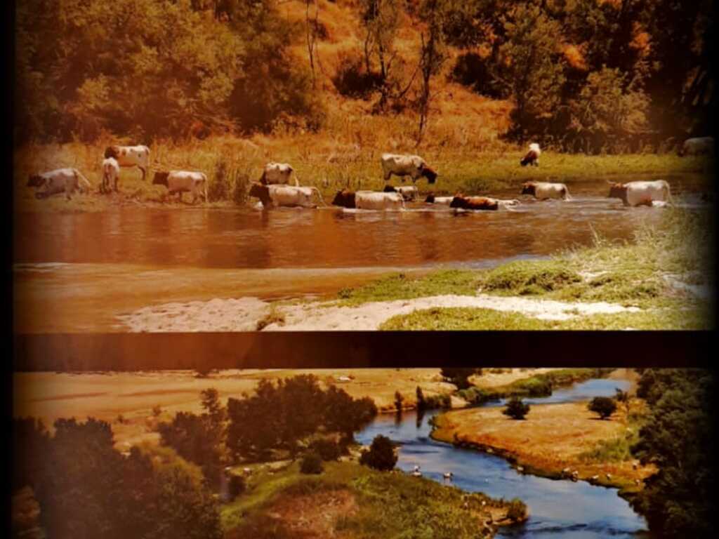 Foto establecimiento 3