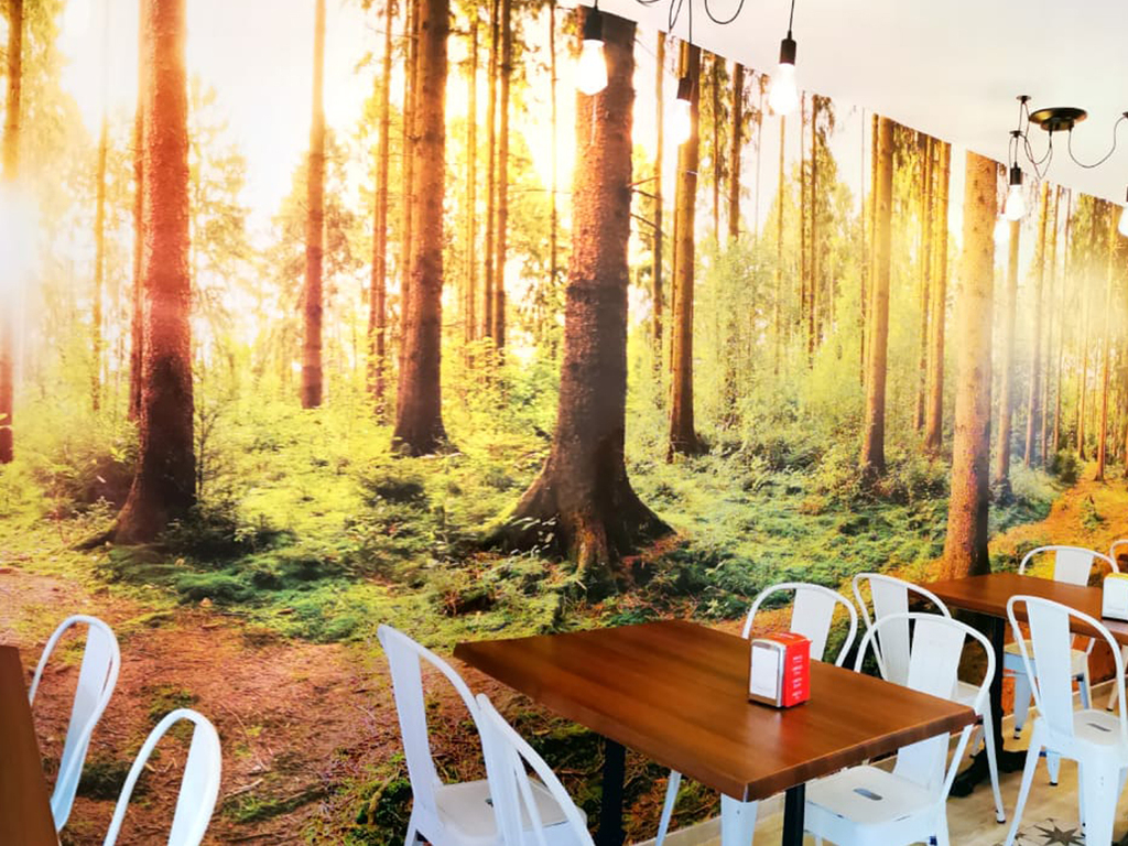 Foto establecimiento 4