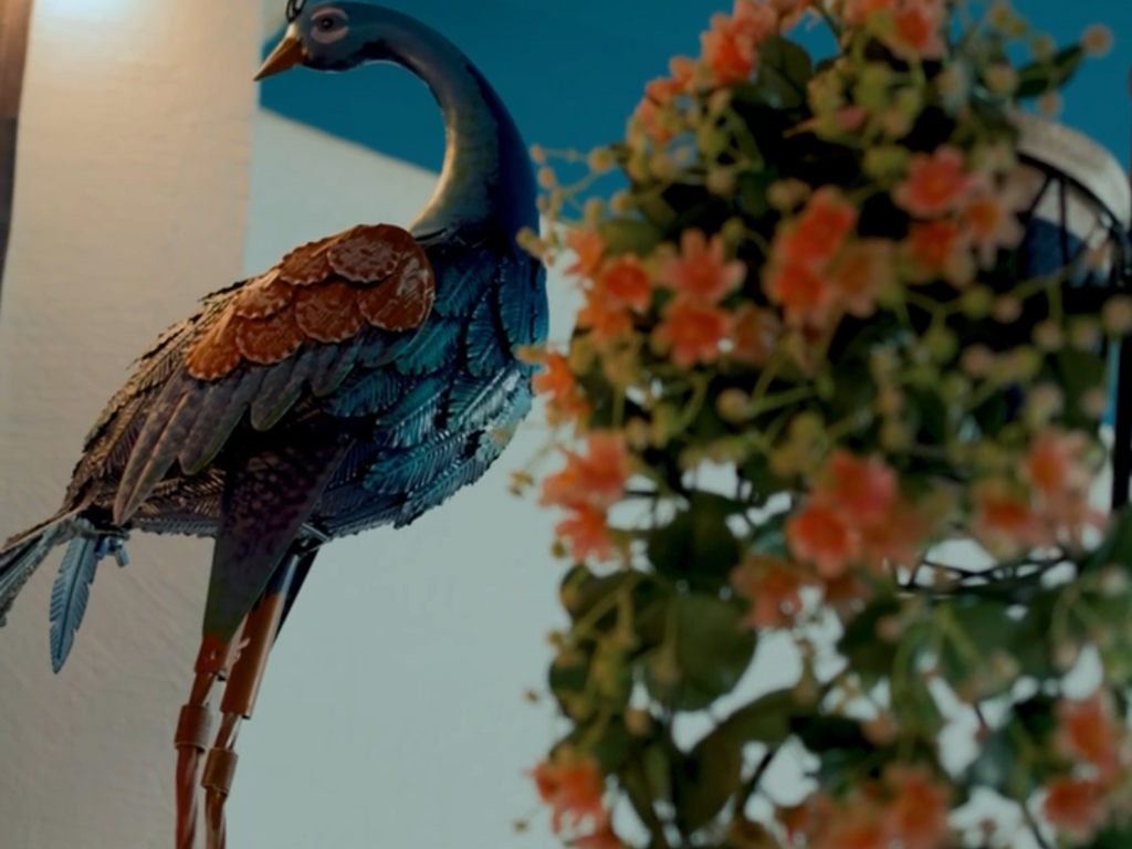 Foto establecimiento 3