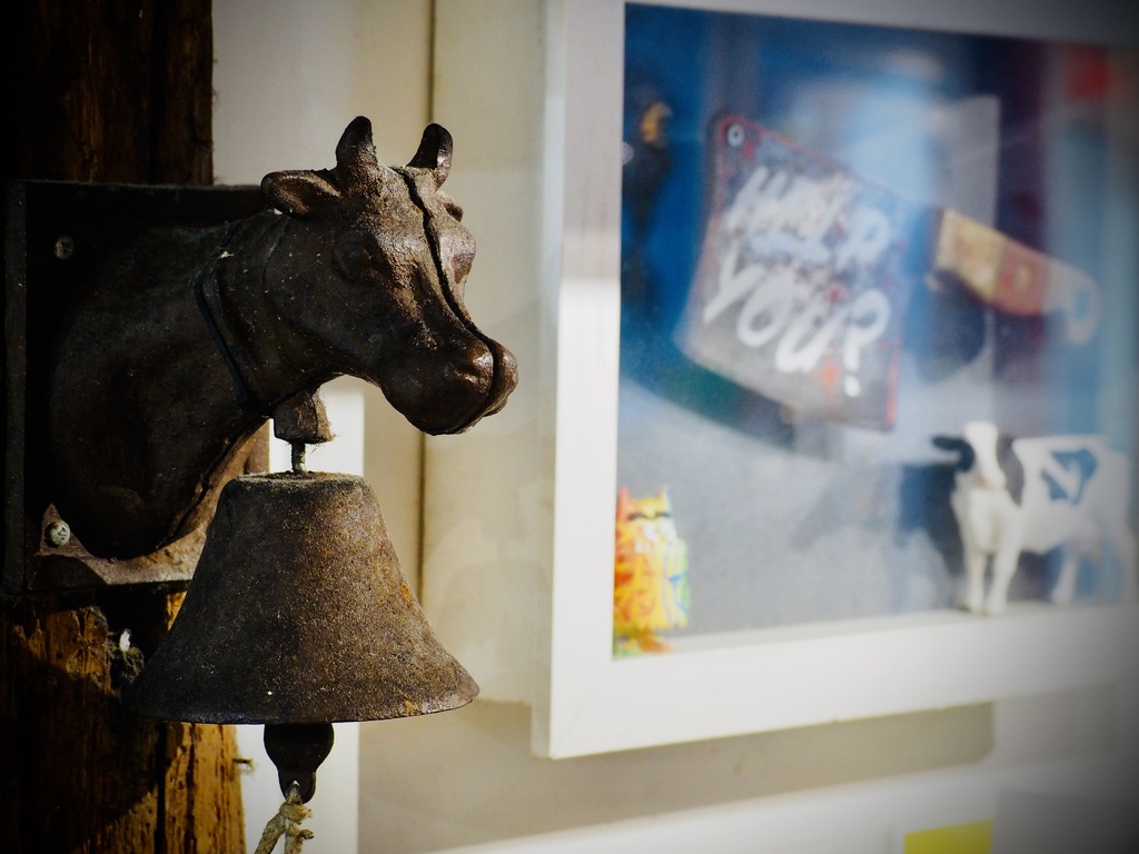 Foto establecimiento 3